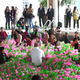 Image for article titled The world's largest ball pit has a whopping one million balls in it